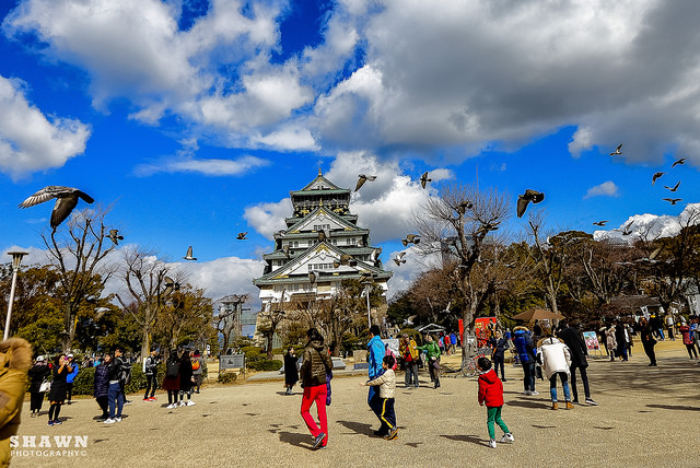 【日本地陪推薦,日本地陪】非常感謝台日地陪的當地日本私人導遊，協助旅遊諮詢